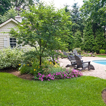 Backyard Landscape