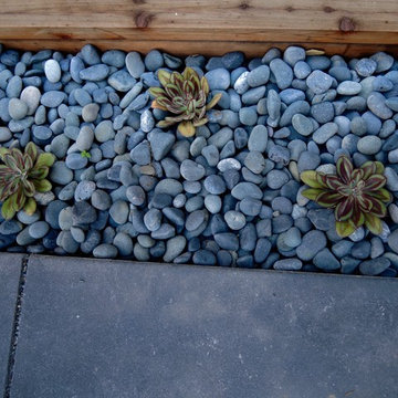 Midcentury Modern Minimalist Landscape Design