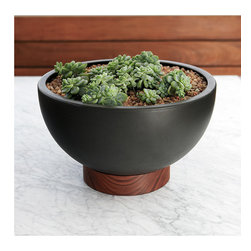 Case Study Ceramic Bowl with Plinth - Indoor Pots And Planters