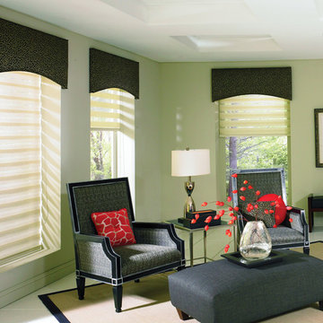 Allure Transitional Shades