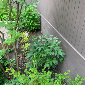 Plantings