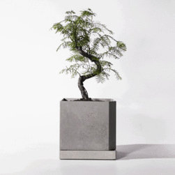 Bentu 'JIAO' Concrete Plant Pot - Indoor Pots And Planters