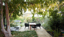 While It’s Still Hot Outside, Design a Landscape for Cooling
