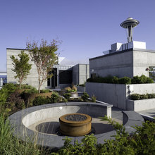 Fire Pit