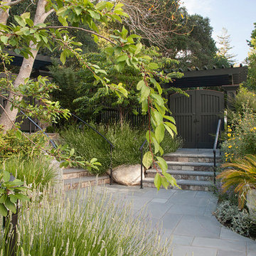 A Naturalistic Colonial Garden