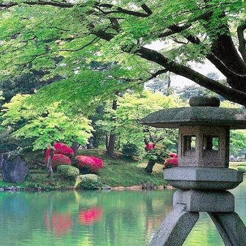 Landscape