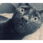 April Pechousek's photo