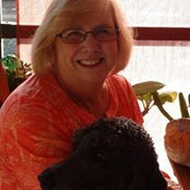 Mary Sharkey's photo