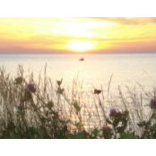 Ellen Fillier's photo