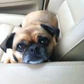 Howard Mitchell's photo