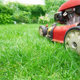 Ideal Yard Solutions LLC's profile photo