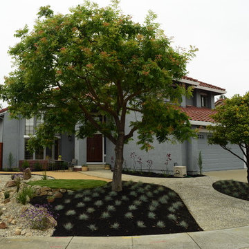 Fremont Residence