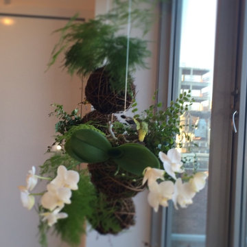 Plant sculptures - Bond Street, New York