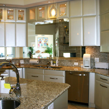 Burr Ridge | Contemporary Home