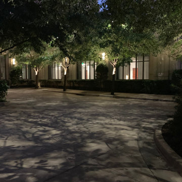 The Ritz Carlton - Dallas