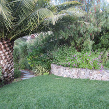 Landscape ideas