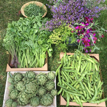 Brentwood Organic Garden