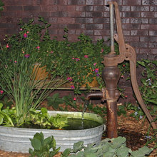 Landscape Ideas