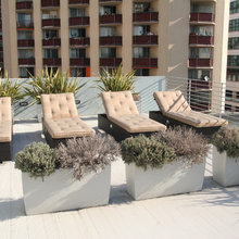 Patio Ideas