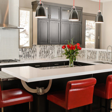 Contrasting Contemporary Kitchen Remodel