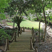 Landscape Ideas