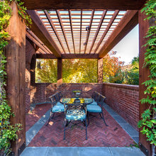 surprise back yard