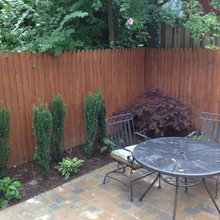 Landscape Ideas