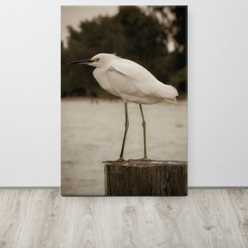 Aged and Colorized Snowy Egret on Pillar Animals and Wildlife Artwork