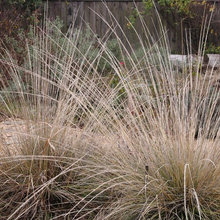 Landscape Ideas