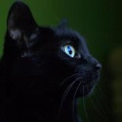 Megan Noble's photo
