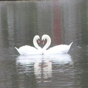 Carmen Laso's photo