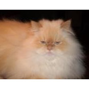 Debbie Sasse's photo