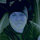 michael_carbone50