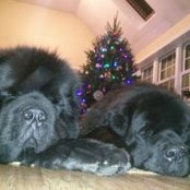 Foto von Marsha Newfield-Nehiley