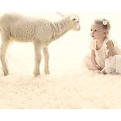 Angie Hull's photo