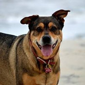 Wendy Roby's photo