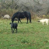 Foto von Becky Sanders Mellinger