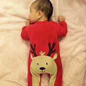 Liz Voss's photo