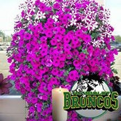 Bonnie Cornet Gobert's photo