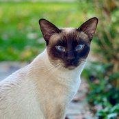 Foto von mapotter0511