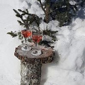 Nicole Tetreault's photo