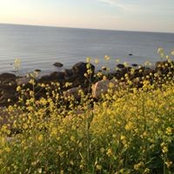 Foto von Dorothy Marshall