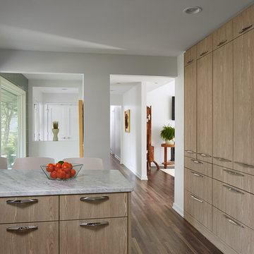 Edina Midcentury Modern Addition & Remodel
