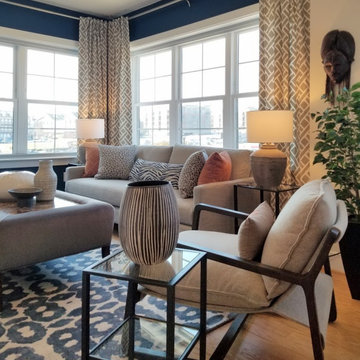 Africa inspired modern living room design