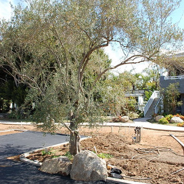 California 'Traditionally Contemporary'