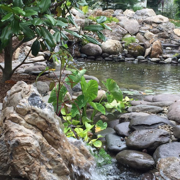 Beautiful View of the Pond