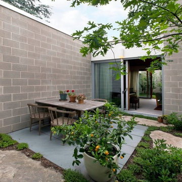 Mid-Century Modern Revival