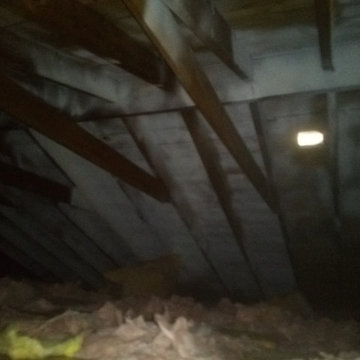 Mold Remediation & Toxic Material Removal