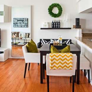 Small Modern Dining Room Design Ideas & Remodeling Pictures | Houzz