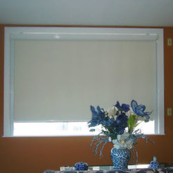 Roller Blinds and Shades - Window Treatments